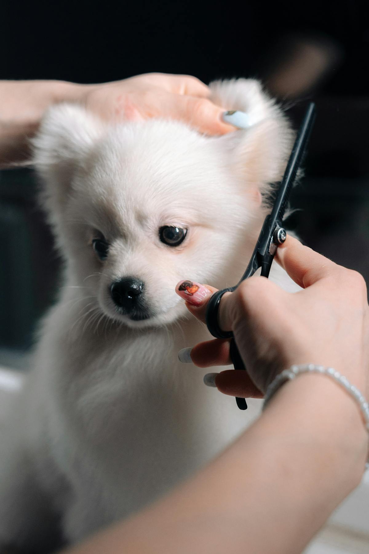 Pet Grooming Glove