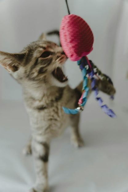 Automatic Laser Toy for Cats