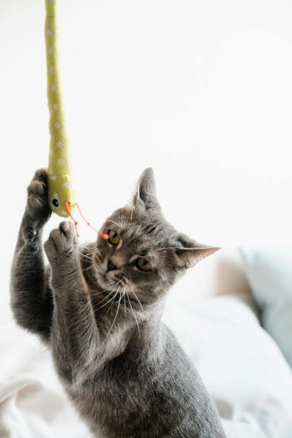 Automatic Laser Toy for Cats