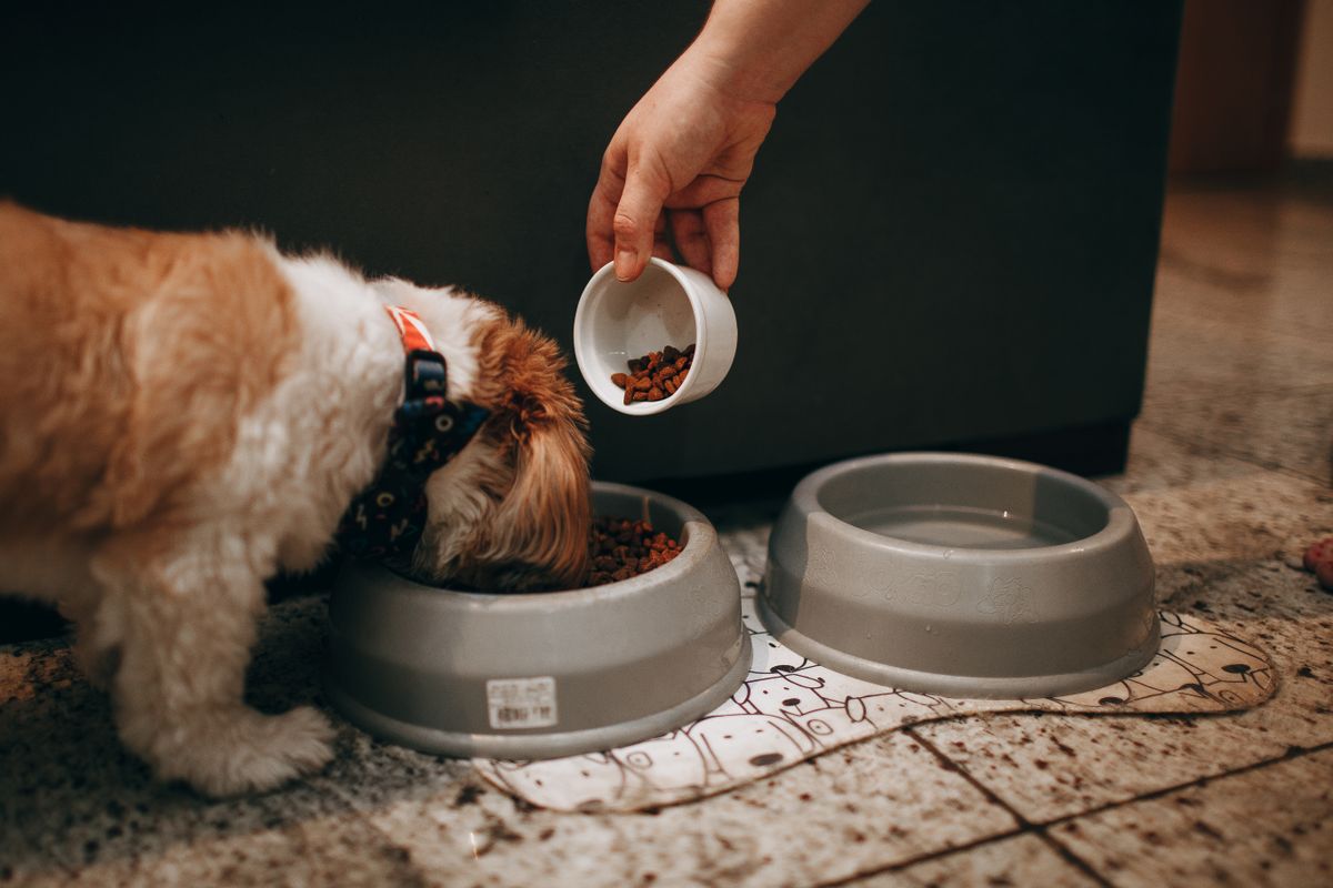 Dog Lick Mat