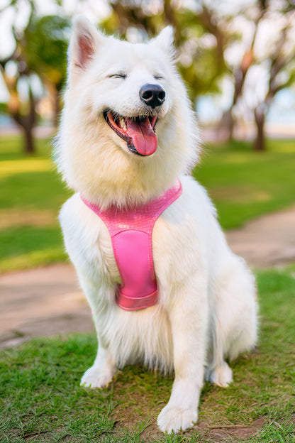 No-Pull Dog Harness