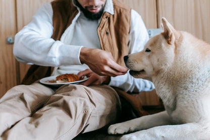 Dog Lick Mat