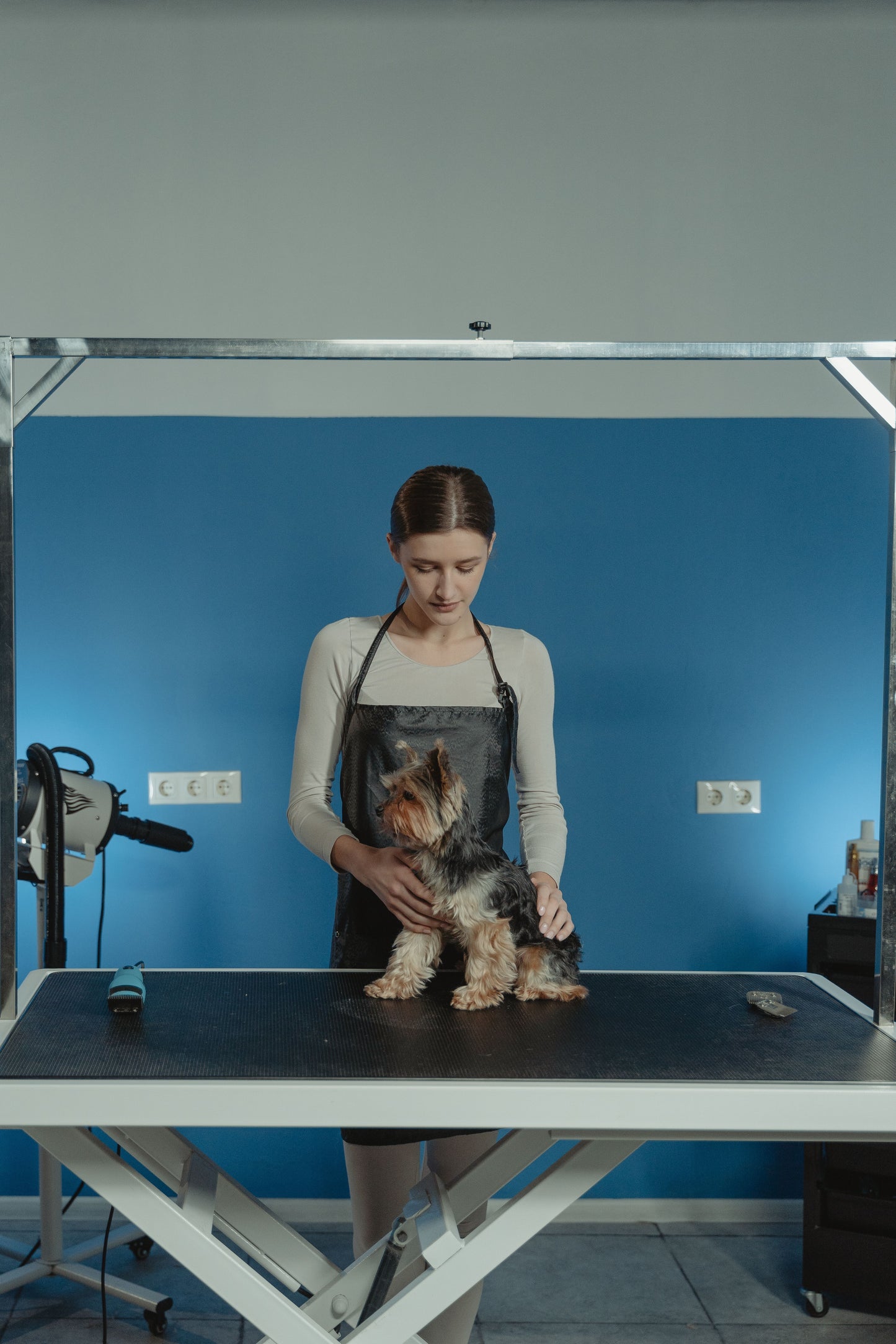 Pet Grooming Glove