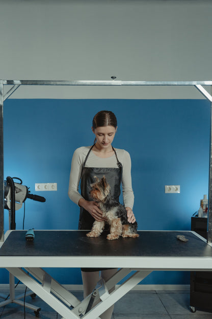 Pet Grooming Glove