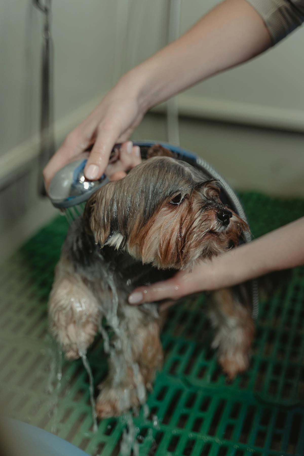 Pet Grooming Glove