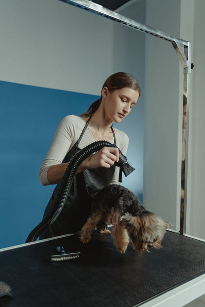 Pet Grooming Glove