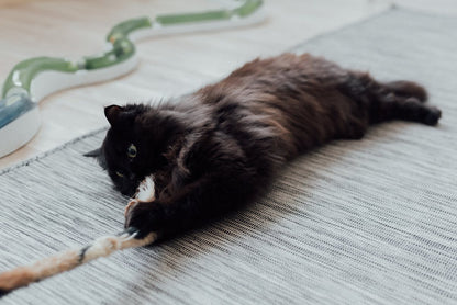 Automatic Laser Toy for Cats