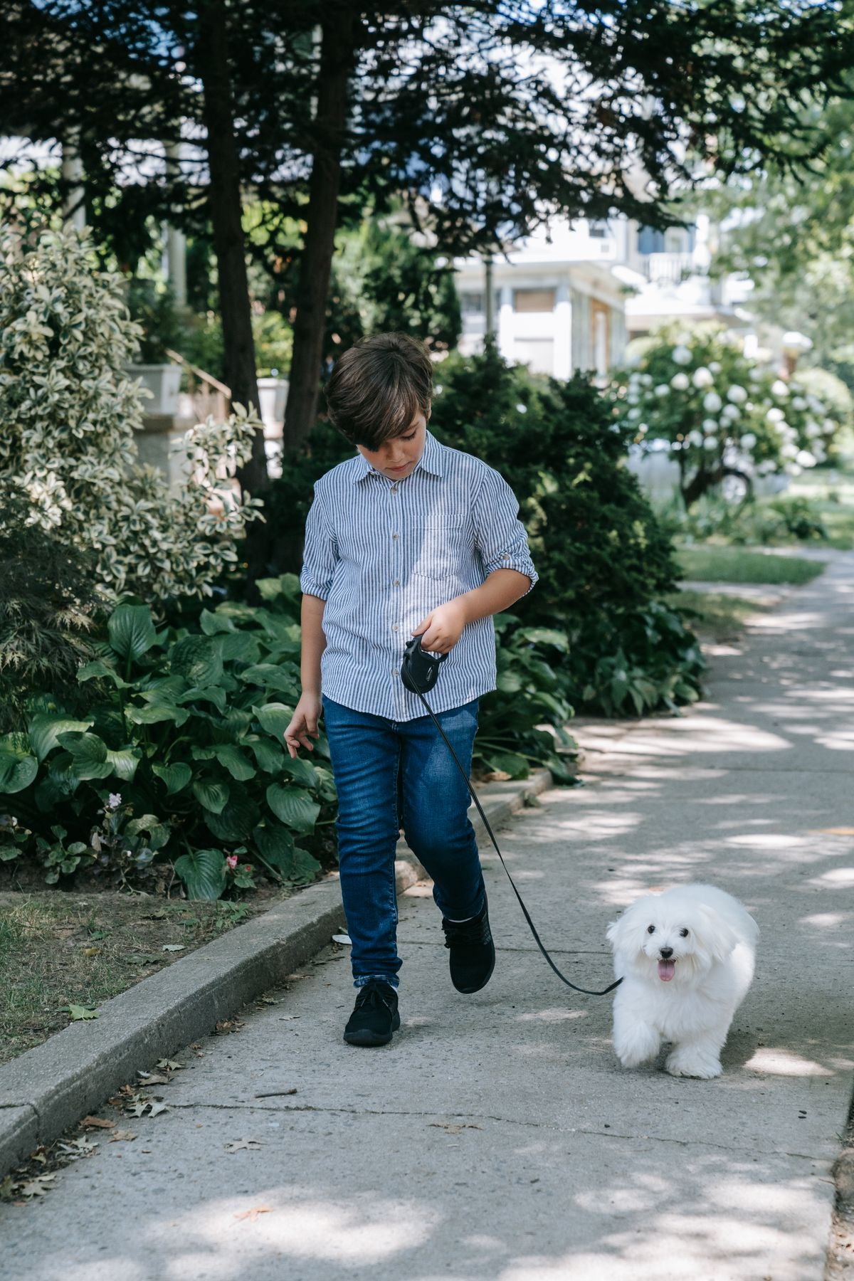 No-Pull Dog Harness